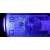 Latarka UV LED bursztyn krew banknot policyjna taktyczna wojskowa myśliwska ładowalna